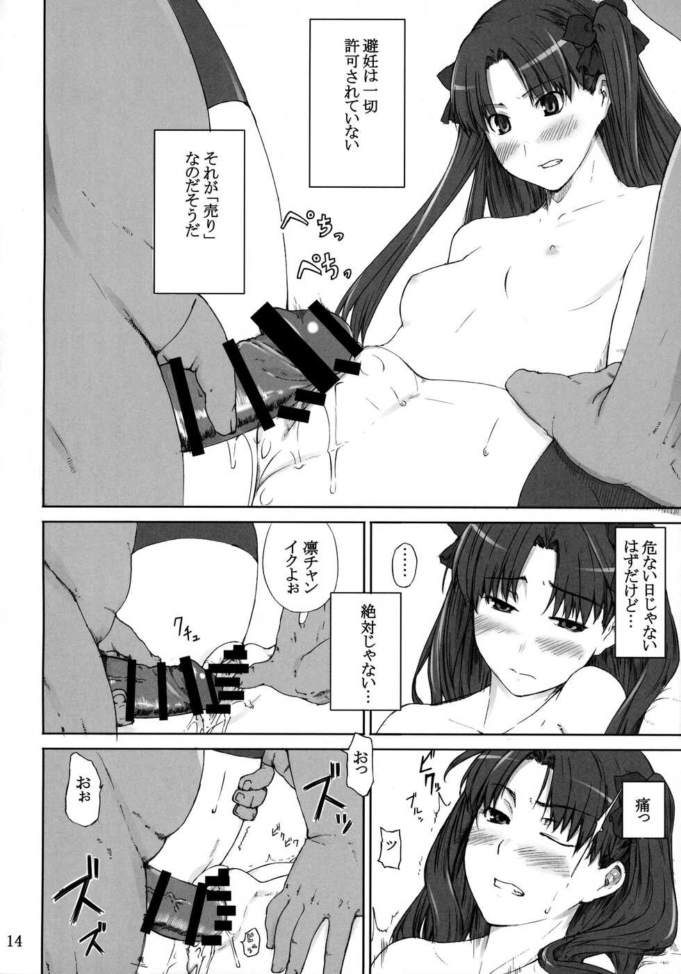 (C88) [MTSP (Jin)] Tosaka-ke no Kakei Jijou Soushuuhen 1 (Fate/stay night) - Page 13