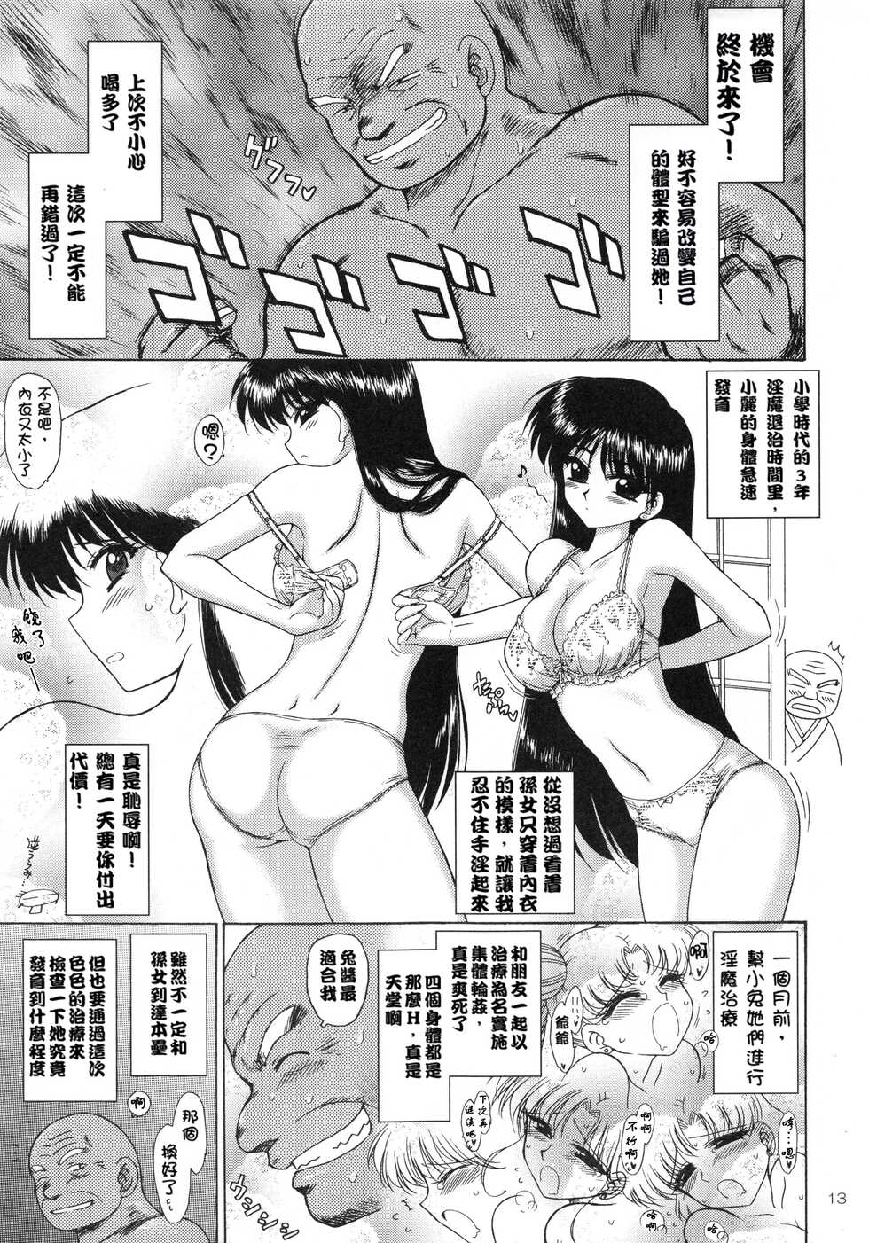 (C79) [BLACK DOG (Kuroinu Juu)] PEARL JAM 2 (Sailor Moon) [Chinese] [個人漢化] - Page 12