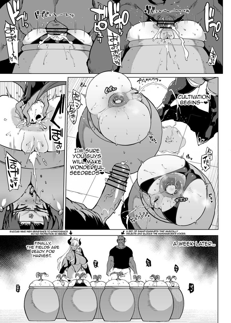 [Fan no Hitori] "Taimabu Season 3" VS Mandragora [English] [Jormungandr] [Digital] - Page 5