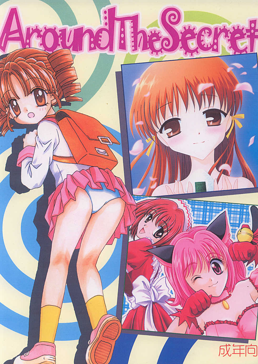 (C62) [Keiji in Cage (Azamino Keiji, Hinase Kazusa, Kageno Illyss)] Around The Secret - Page 1