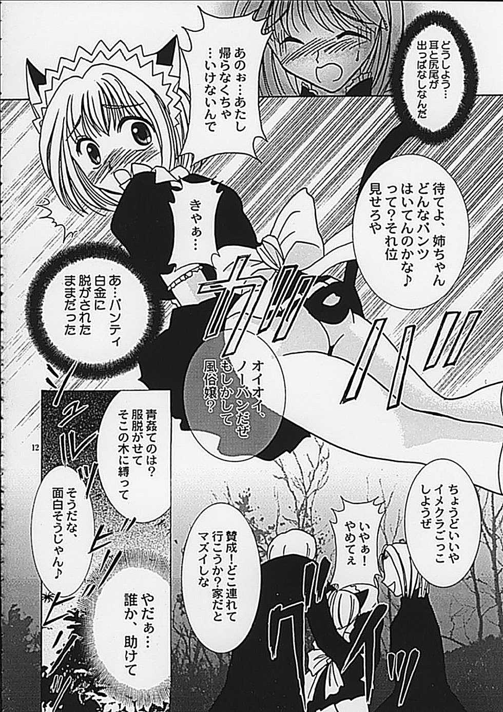 (C62) [Keiji in Cage (Azamino Keiji, Hinase Kazusa, Kageno Illyss)] Around The Secret - Page 12