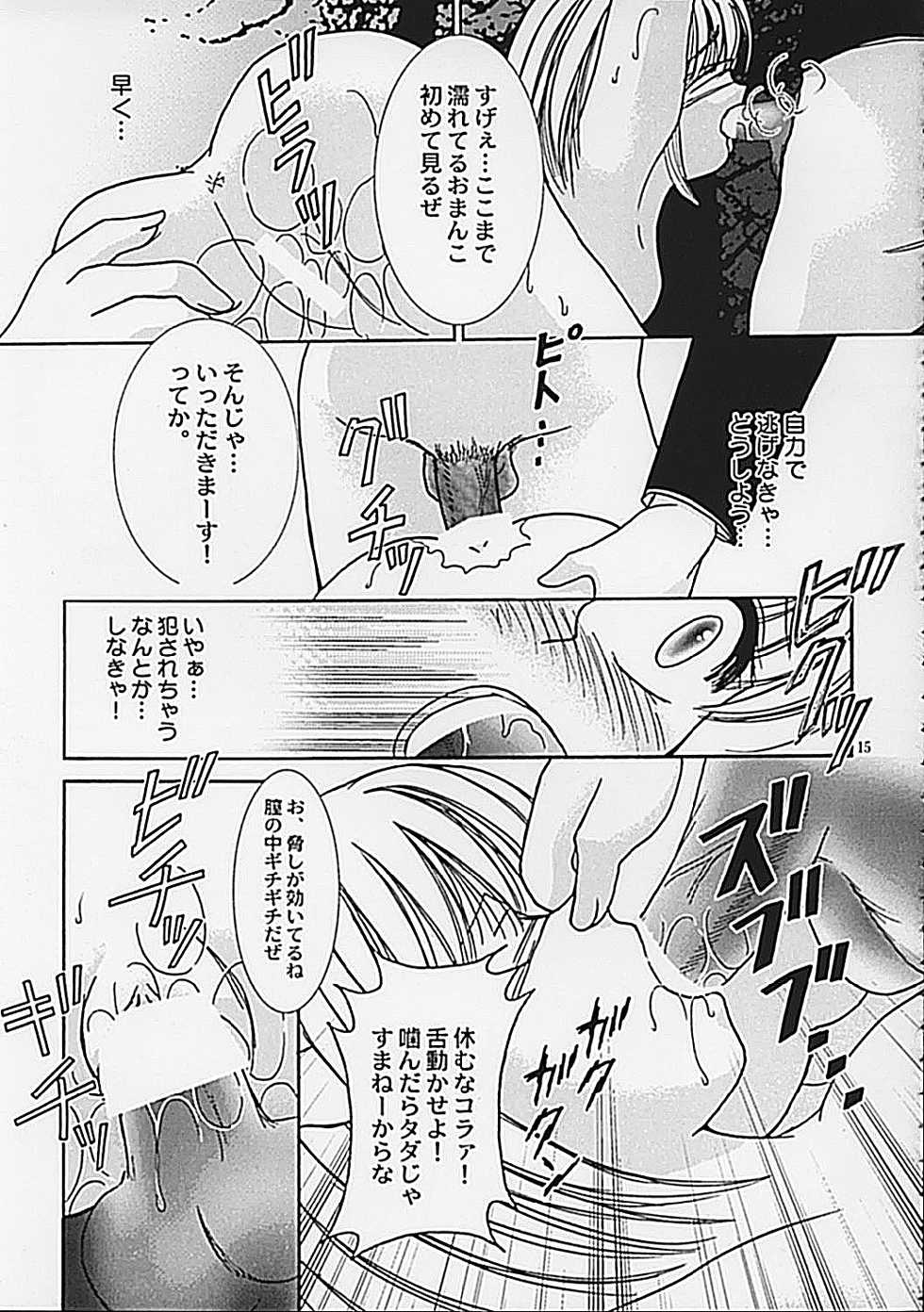 (C62) [Keiji in Cage (Azamino Keiji, Hinase Kazusa, Kageno Illyss)] Around The Secret - Page 15