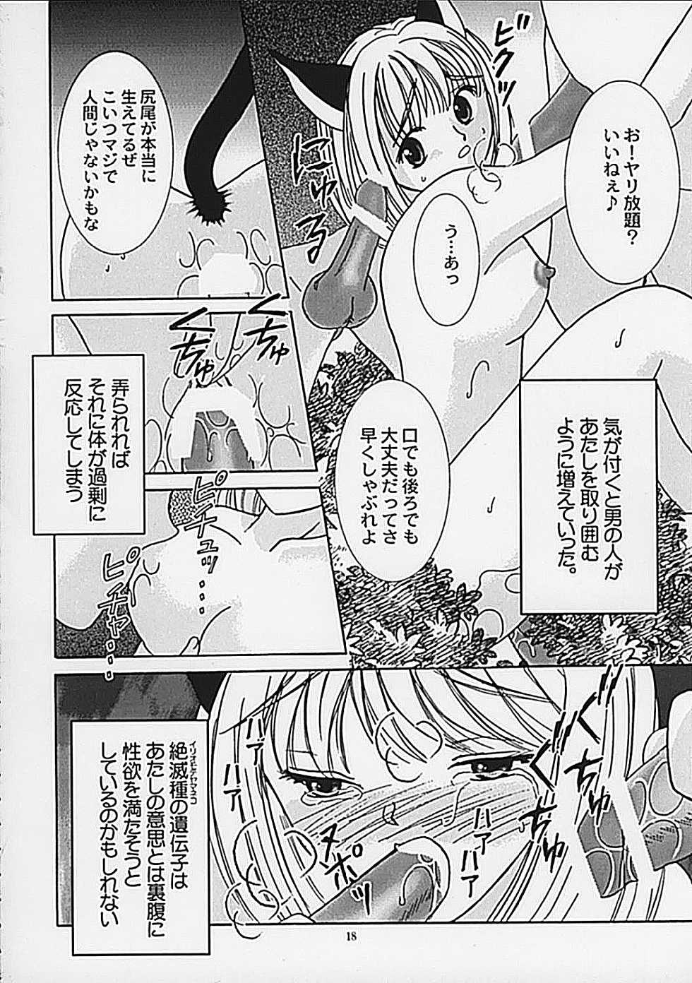 (C62) [Keiji in Cage (Azamino Keiji, Hinase Kazusa, Kageno Illyss)] Around The Secret - Page 18