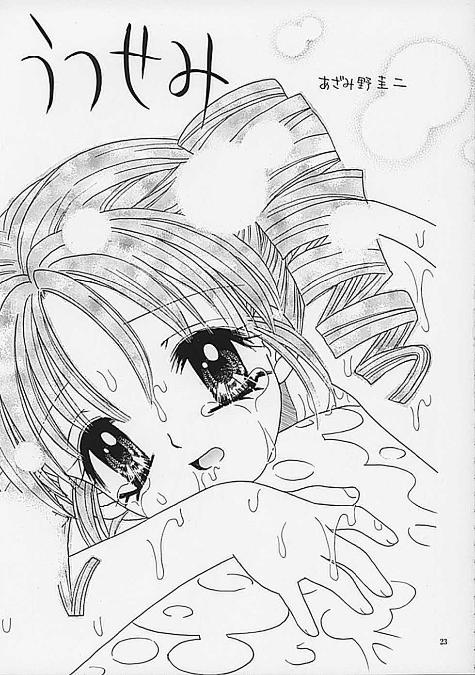 (C62) [Keiji in Cage (Azamino Keiji, Hinase Kazusa, Kageno Illyss)] Around The Secret - Page 23