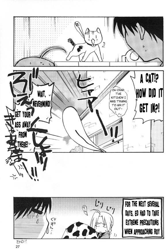 [Daen (Konboi Chouchou)] Flower Bomb Bomb (Fullmetal Alchemist) [English] [Central Library] - Page 26