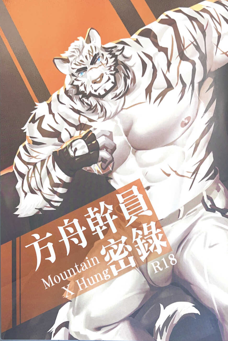 (FF38) [Lion Bard's Scroll (Lander)] Arknights: Operator no Himitsu File | 方舟干员密录 (Arknights) [Chinese] - Page 1