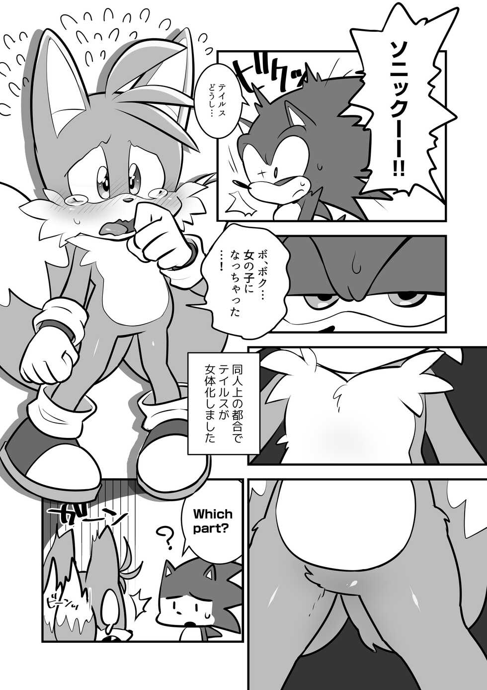 [hentaib] Tails and Sonic's special Fuss (Sonic the Hedgehog) - Page 2