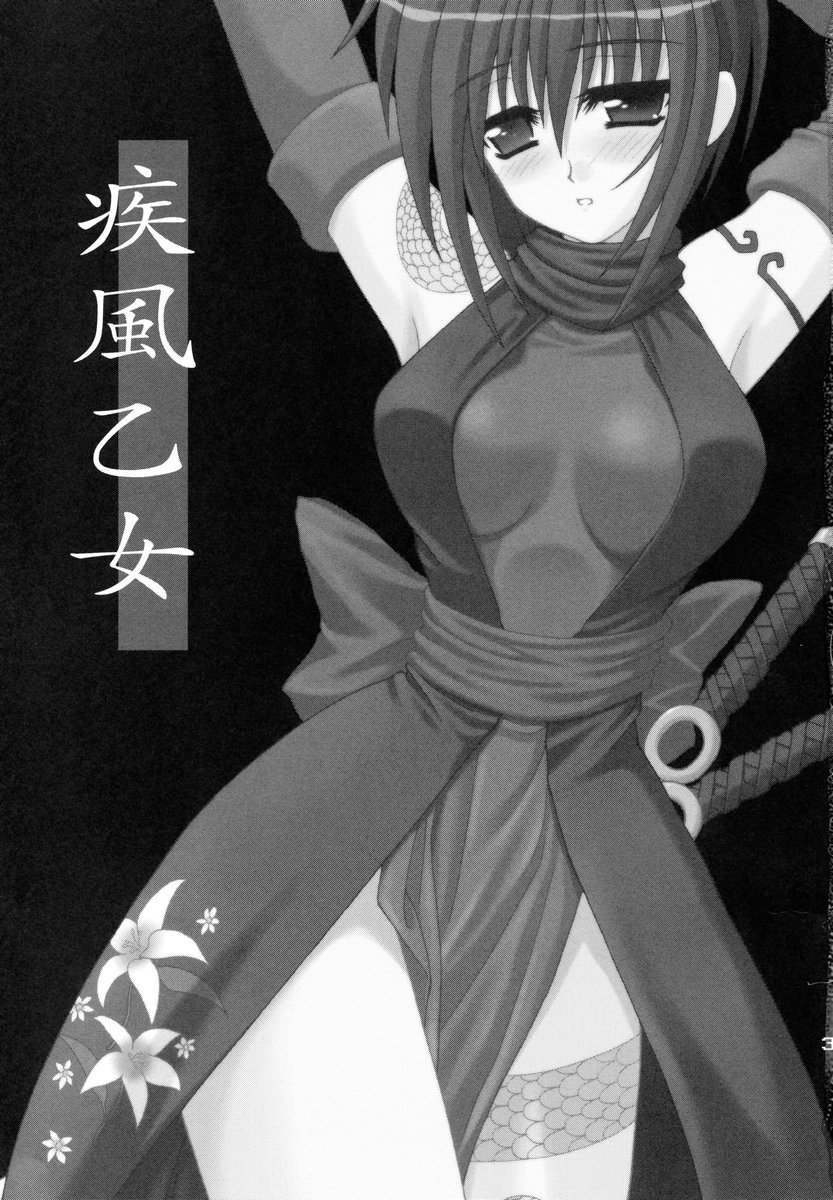 (C67) [PINK VISION (Tsuzuki Masaki)] Shippuu Otome (Various) - Page 2