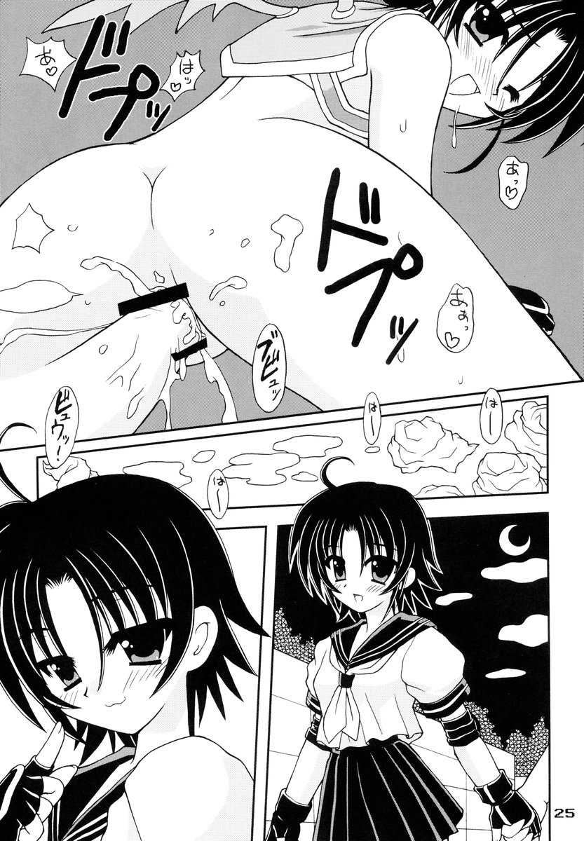 (C67) [PINK VISION (Tsuzuki Masaki)] Shippuu Otome (Various) - Page 24