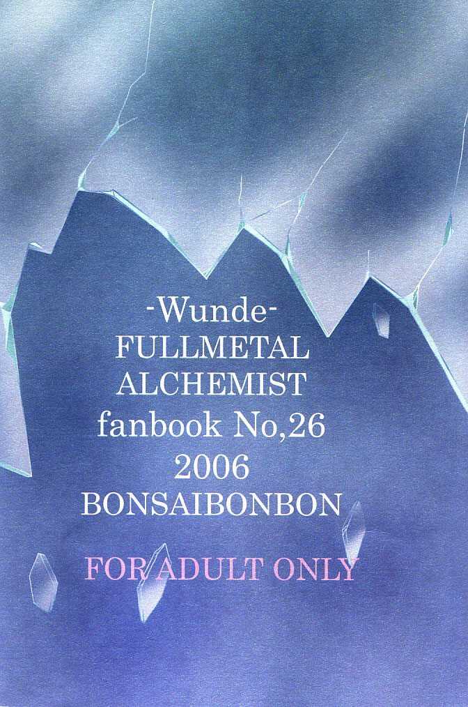 [Bonsai Bonbon(Tsunoda☆Way)] Kizu -Wunde- (Fullmetal Alchemist) [English] - Page 33