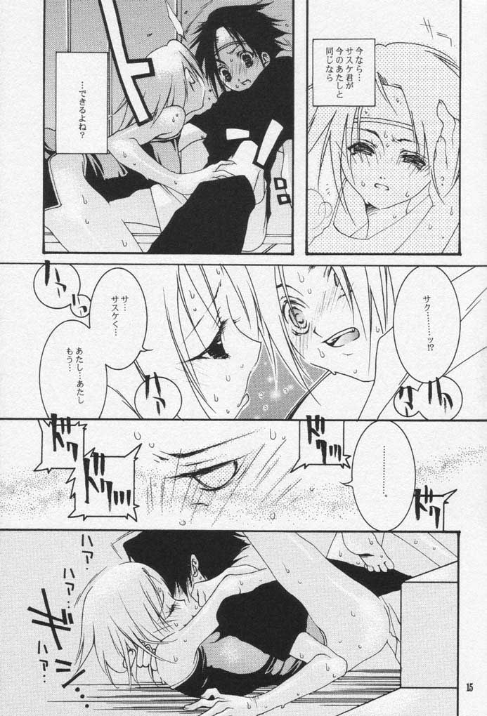 [Akutagawa Yoshizumi] Caramel Color (Naruto) - Page 14