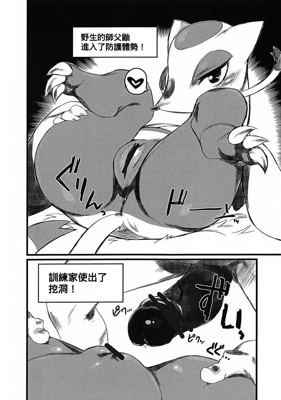 (Fur-st 4) [Mayoineko(Mizone)] Himitsu no Are 2 (Pokémon) [Chinese] [Banana手工漢化] - Page 2