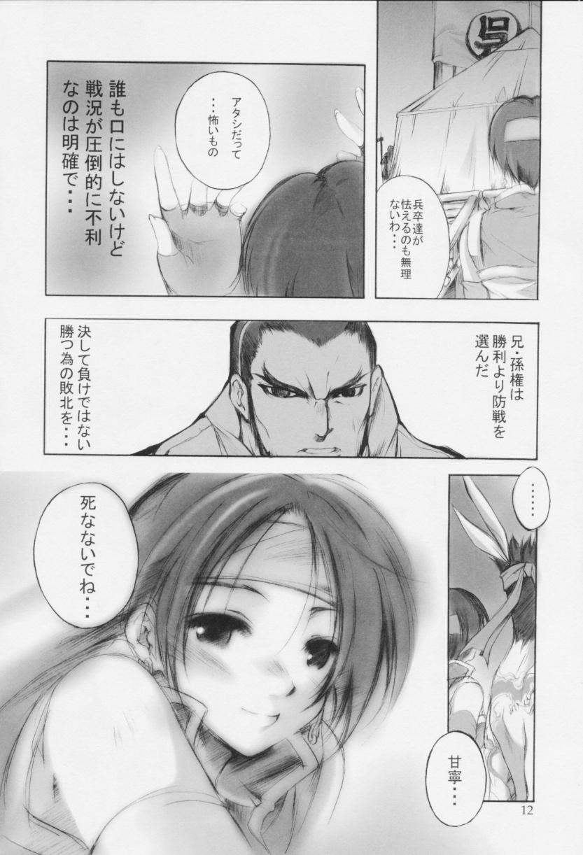 (C61) [MIX-ISM (Inui Sekihiko)] Rintotatsu (Dynasty Warriors) - Page 11