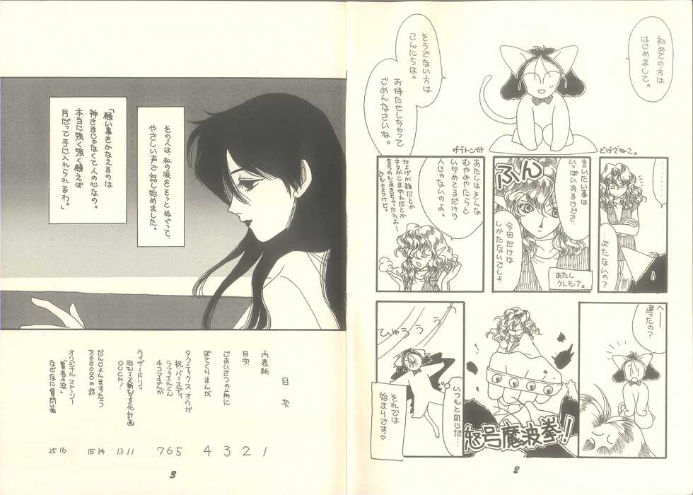 (C50) [Pandemoniumu] Pandæmonium VOL.7 (Ogre Battle) (Wizardry) - Page 4