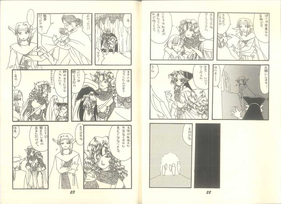 (C50) [Pandemoniumu] Pandæmonium VOL.7 (Ogre Battle) (Wizardry) - Page 14