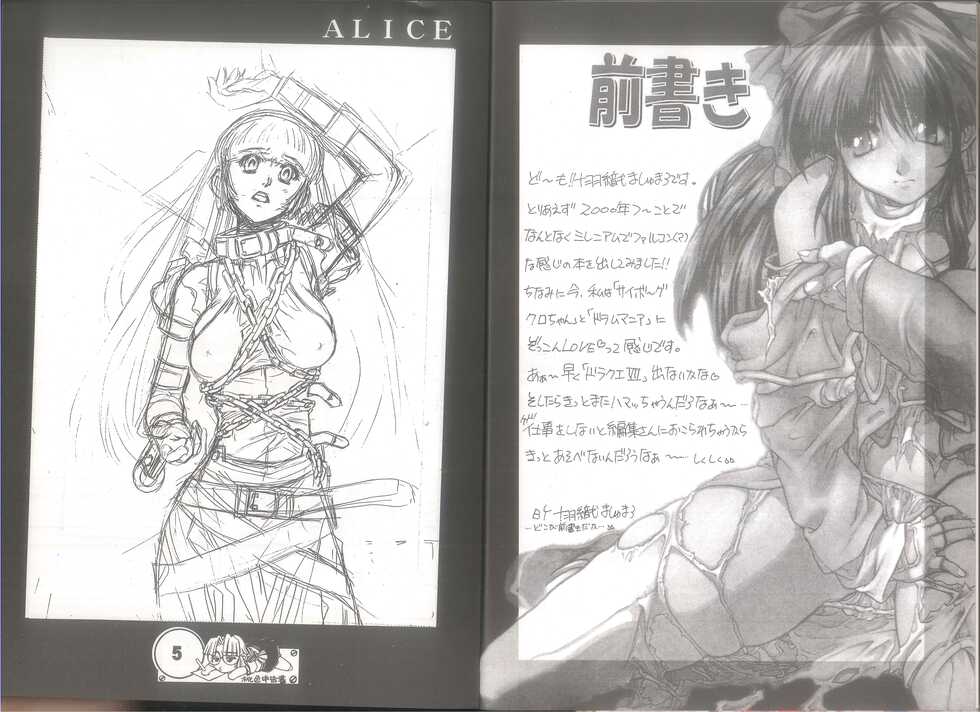 (C57) [蝸牛倶楽部] 桃色申告書 ver.MILLENNIUM FALCON (Various) - Page 4