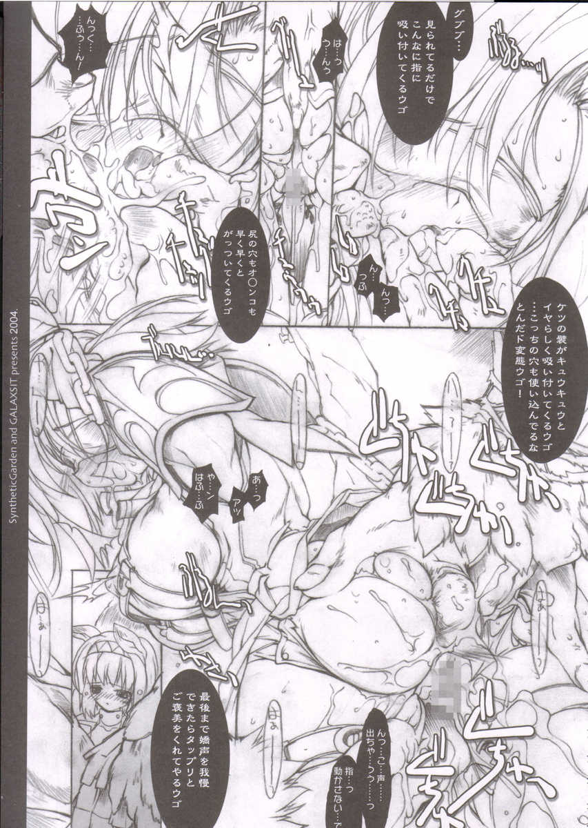 (C66) [Galaxist, Synthetic Garden (Various)] GreenPapper and RedChelisauce (Final Fantasy XI) - Page 40