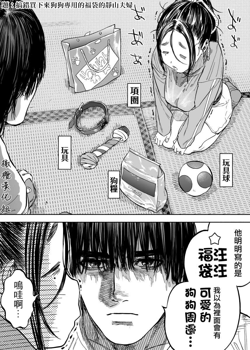 [usa]静山夫妇[中文] [橄榄汉化组] - Page 19