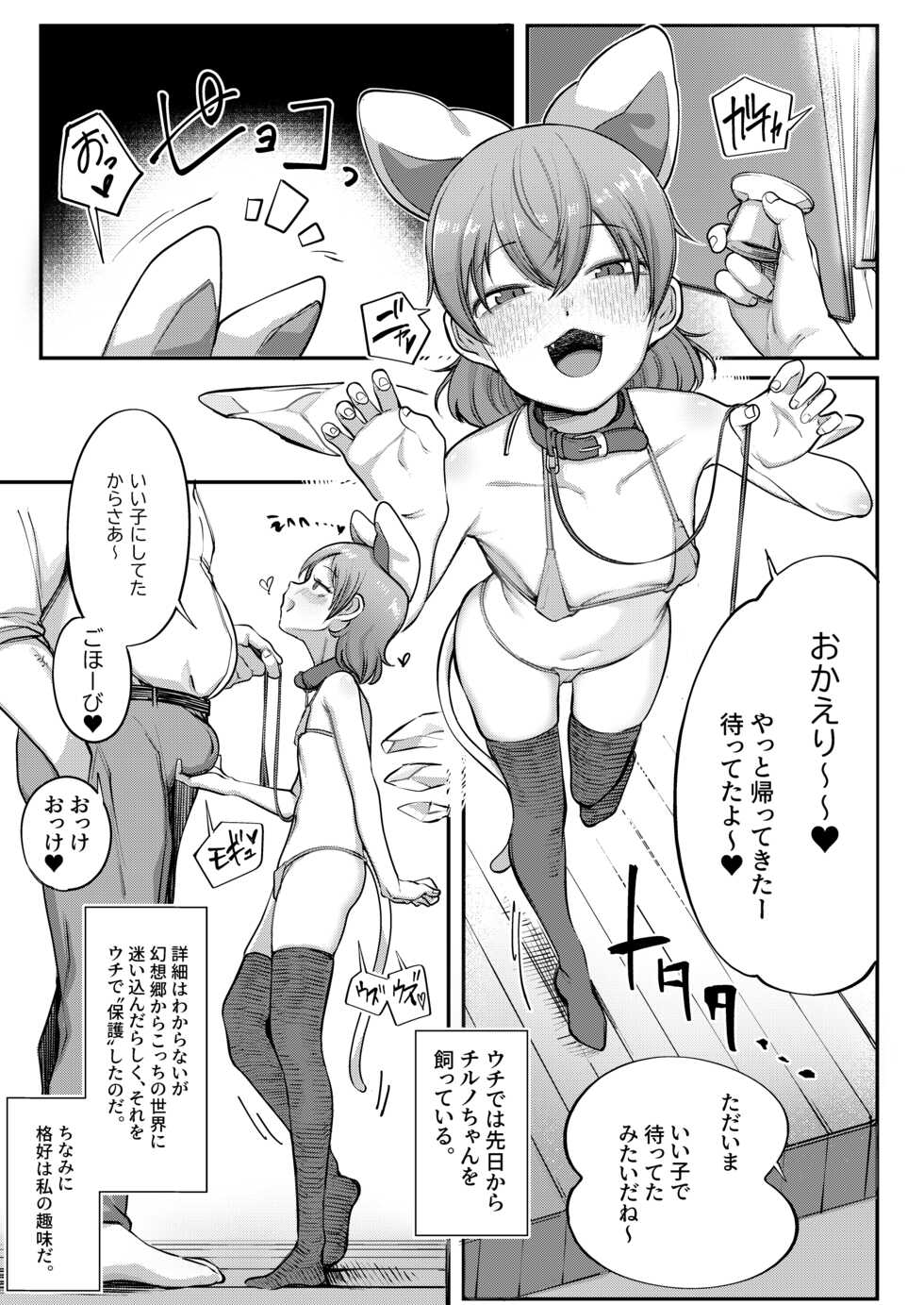 [RockDoodleDo (Toriburi)] Cirno to Cirno (Touhou Project) [Digital] - Page 2