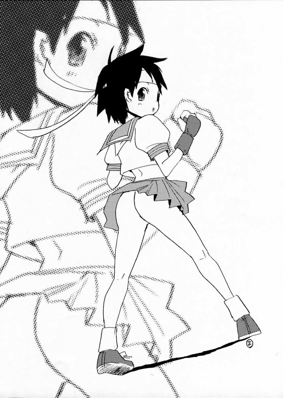 (C71) [Manga Super (Nekoi Mie, Mago)] Cat Fighters (Dead or Alive, Street Fighter) - Page 12