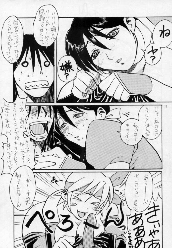 [Yagyuu Chaya (Kiryuu Juubee)] EUREKA (Dead or Alive) - Page 14