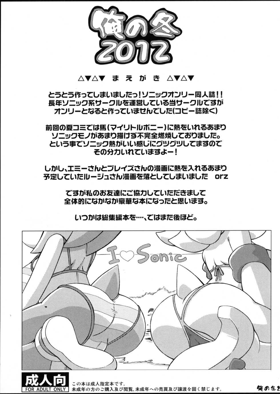 (C83) [Tengai Aku Juumonji (Various)] Ore no Fuyu 2012 (Sonic The Hedgehog) [Portuguese-BR] - Page 2