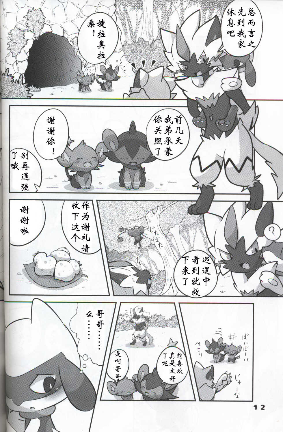 (C95) [Kajigurumi (Kajiura)] Namida Ryuseigun (Pokémon) [Chinese] [虾皮汉化组] - Page 11