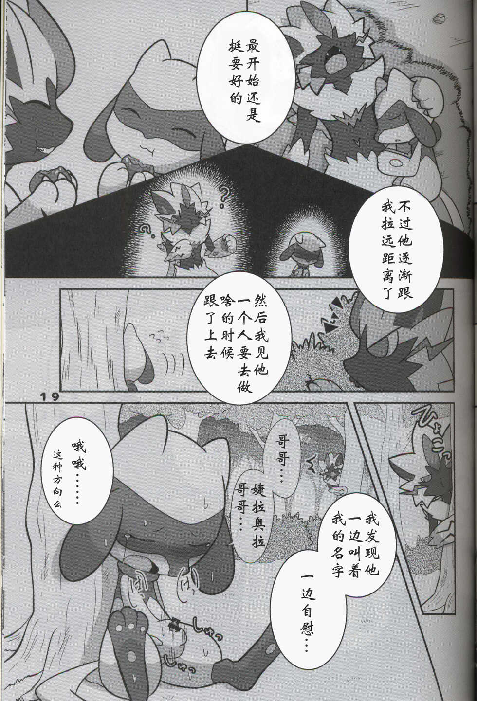(C95) [Kajigurumi (Kajiura)] Namida Ryuseigun (Pokémon) [Chinese] [虾皮汉化组] - Page 18