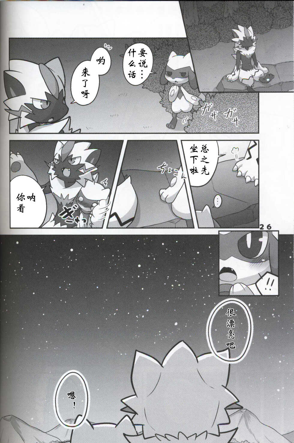 (C95) [Kajigurumi (Kajiura)] Namida Ryuseigun (Pokémon) [Chinese] [虾皮汉化组] - Page 25