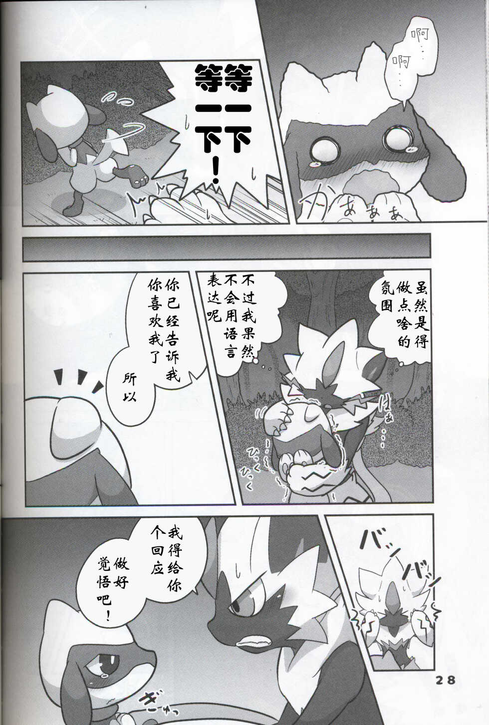 (C95) [Kajigurumi (Kajiura)] Namida Ryuseigun (Pokémon) [Chinese] [虾皮汉化组] - Page 27