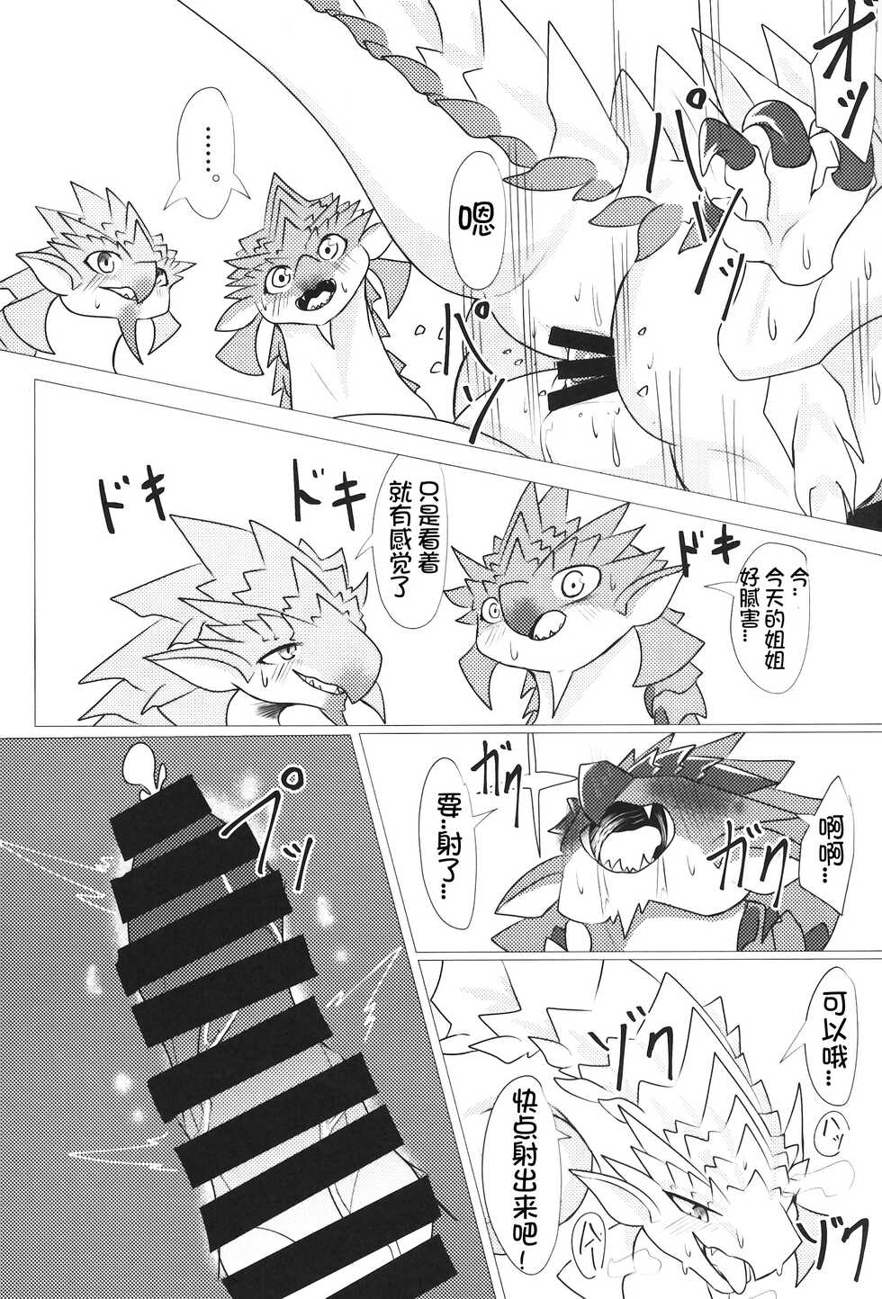 (Kemoket 11) [increase増田 (felta)] Keiryuu Daisouran W (Monster Hunter) [Chinese] [虾皮汉化组] - Page 17