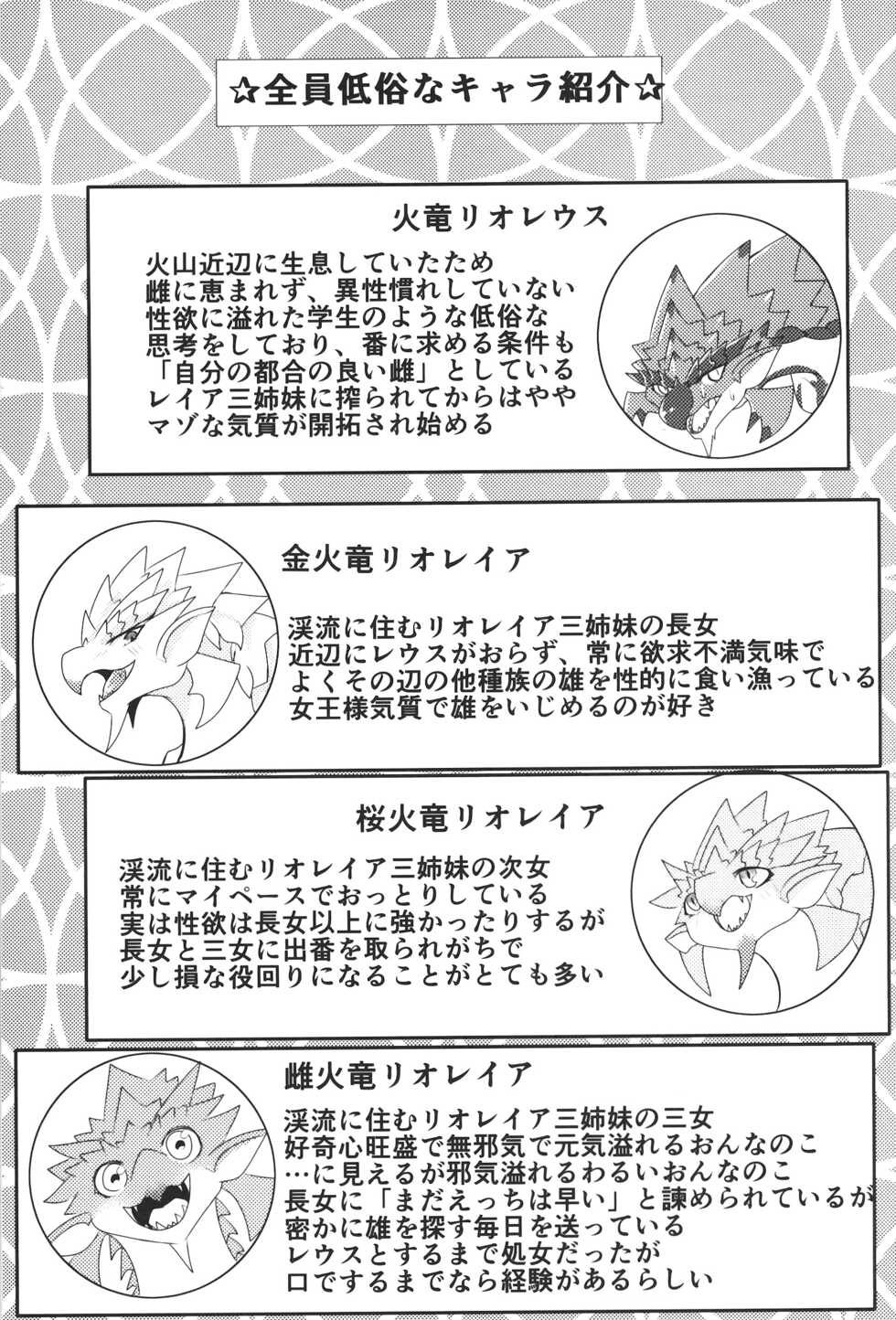 (Kemoket 11) [increase増田 (felta)] Keiryuu Daisouran W (Monster Hunter) [Chinese] [虾皮汉化组] - Page 25