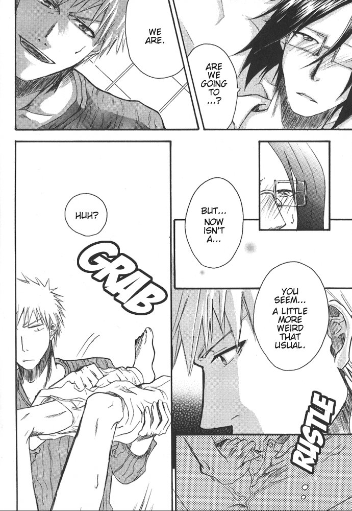 [NIKITA (Kira)] Road of the Family (Bleach) [English] [Daphira] - Page 6