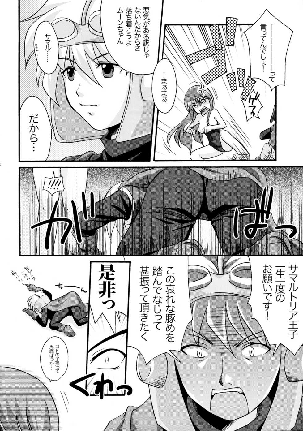 (C71) [tounantou (Mai)] Princess Fight! (Dragon Quest) - Page 7