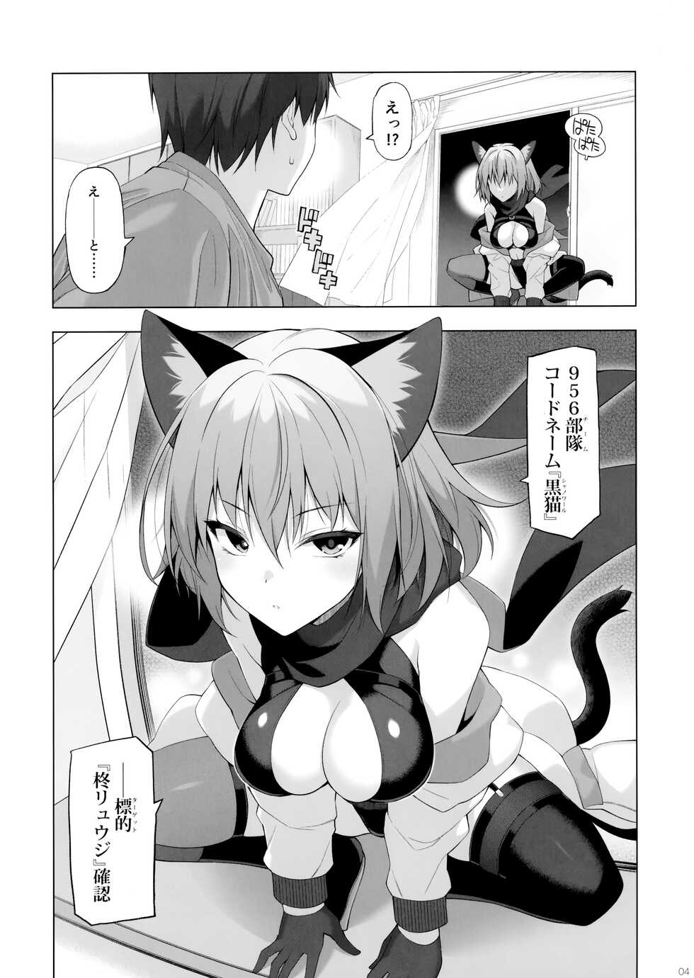 (C100) [Digital Flyer (Oota Yuuichi)] Kukkoro Team no Assassin-san. - Page 3