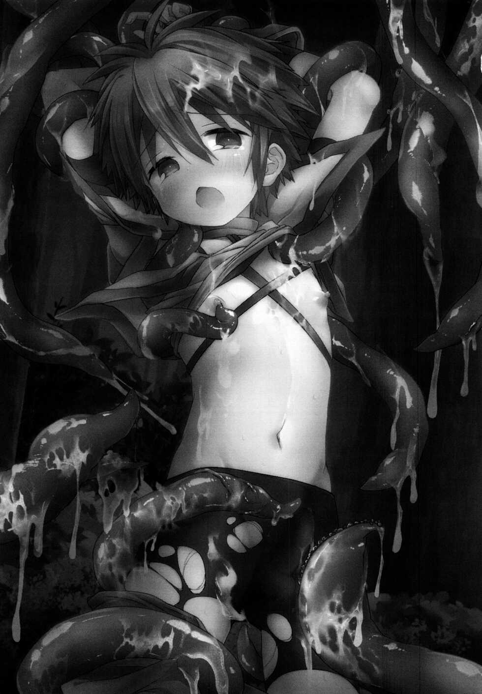(C101) [Kagayaku Hoshizuna (Miyu)] trap 2 (Tartaros: Rebirth) - Page 2