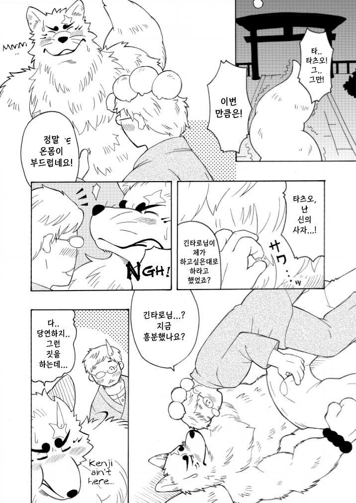 [Bear Tail (Chobikuma)] Shinshi | 신사 신의 사자 (Gingitsune) [Korean] [Digital] - Page 9