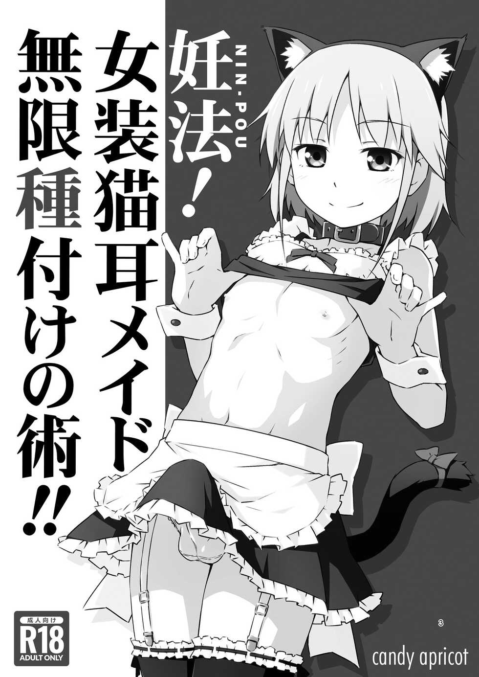 [candy apricot (Mashita)] Ninpou! Josou Nekomimi Maid Mugen Tanetsuke no Jutsu!! [Chinese] [瑞树汉化组] [Digital] - Page 3