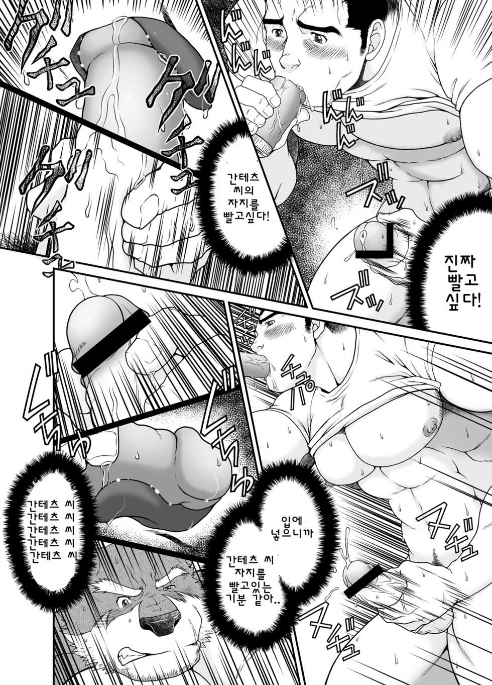 (Fur-st 3) [Neyukidou (Takaku Nozomu)] GaGaGaGantetsu | 가가가간테츠 [Korean] [Digital] - Page 13