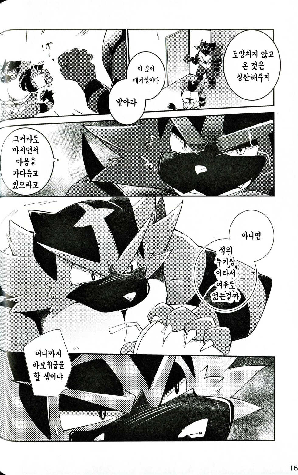 (Kemoket 8) [Kemono no Koshikake (Azuma Minatu)] Tougi-ba no Make Neko | 투기장의 패배자 (Pokémon) [Korean] - Page 16