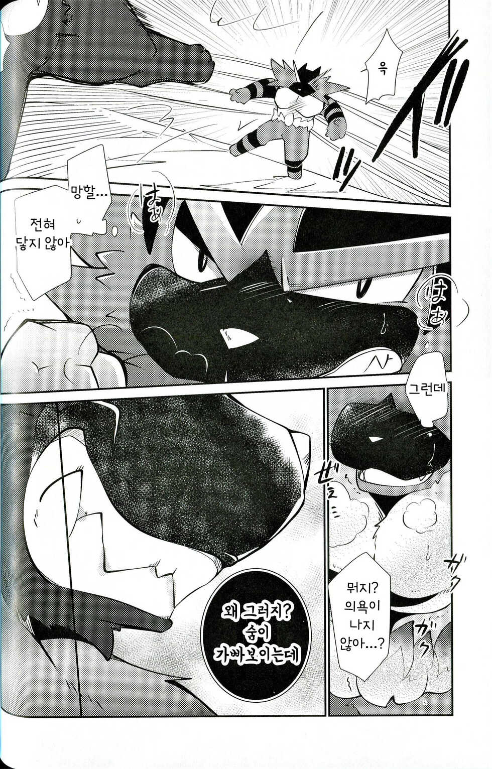 (Kemoket 8) [Kemono no Koshikake (Azuma Minatu)] Tougi-ba no Make Neko | 투기장의 패배자 (Pokémon) [Korean] - Page 20