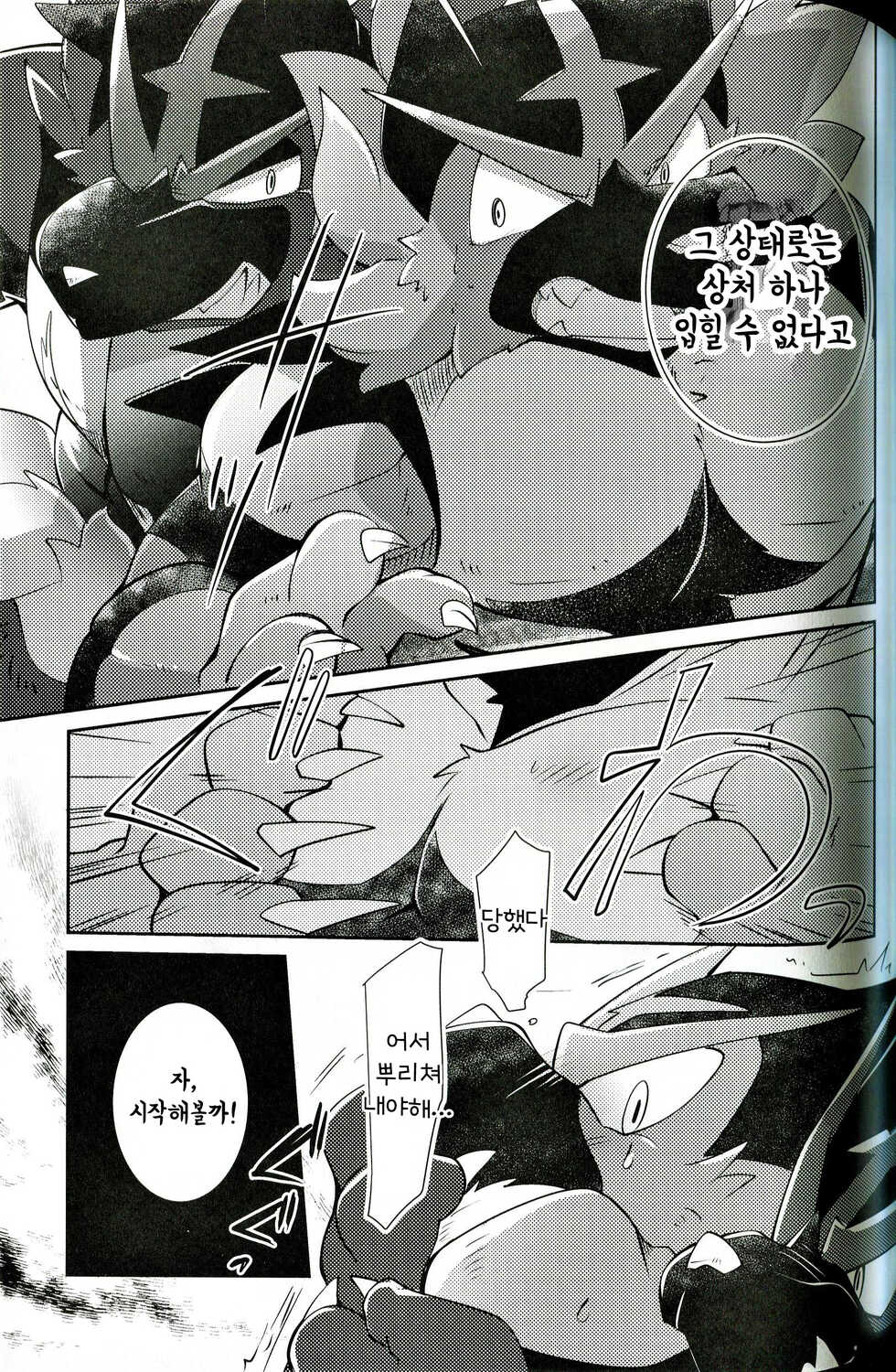 (Kemoket 8) [Kemono no Koshikake (Azuma Minatu)] Tougi-ba no Make Neko | 투기장의 패배자 (Pokémon) [Korean] - Page 21