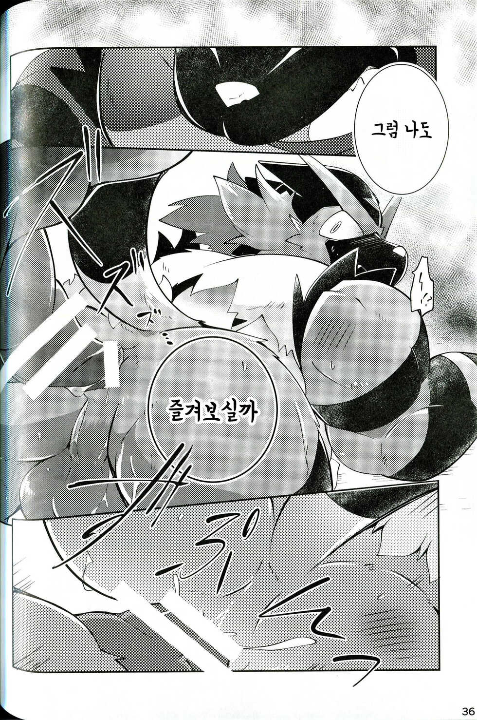 (Kemoket 8) [Kemono no Koshikake (Azuma Minatu)] Tougi-ba no Make Neko | 투기장의 패배자 (Pokémon) [Korean] - Page 36