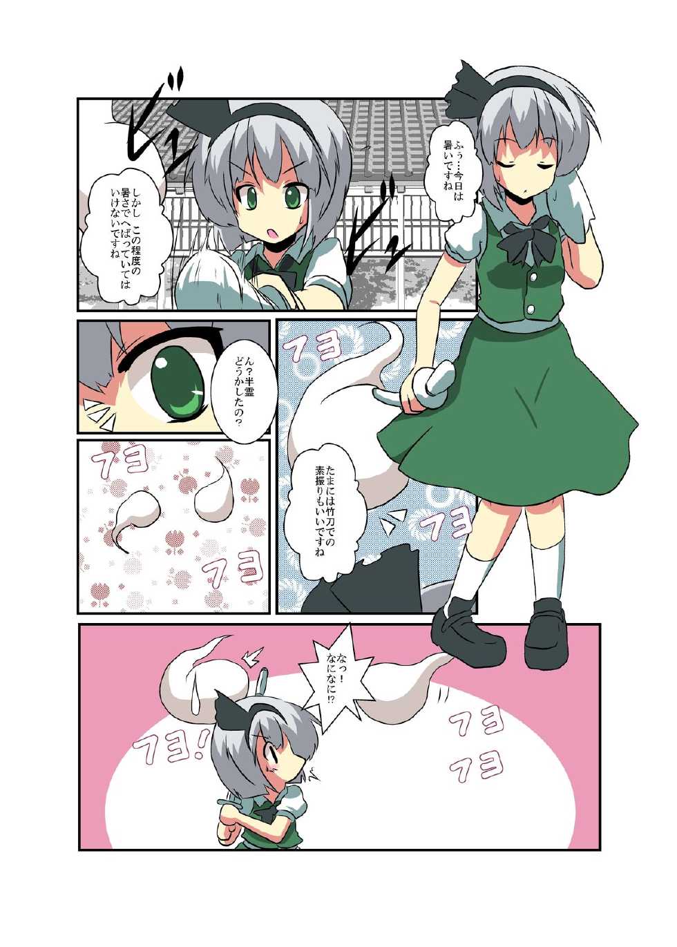 [Ameshoo (Mikaduki Neko)] Touhou TS Monogatari ~Youmu-hen~ (Touhou Project) - Page 5