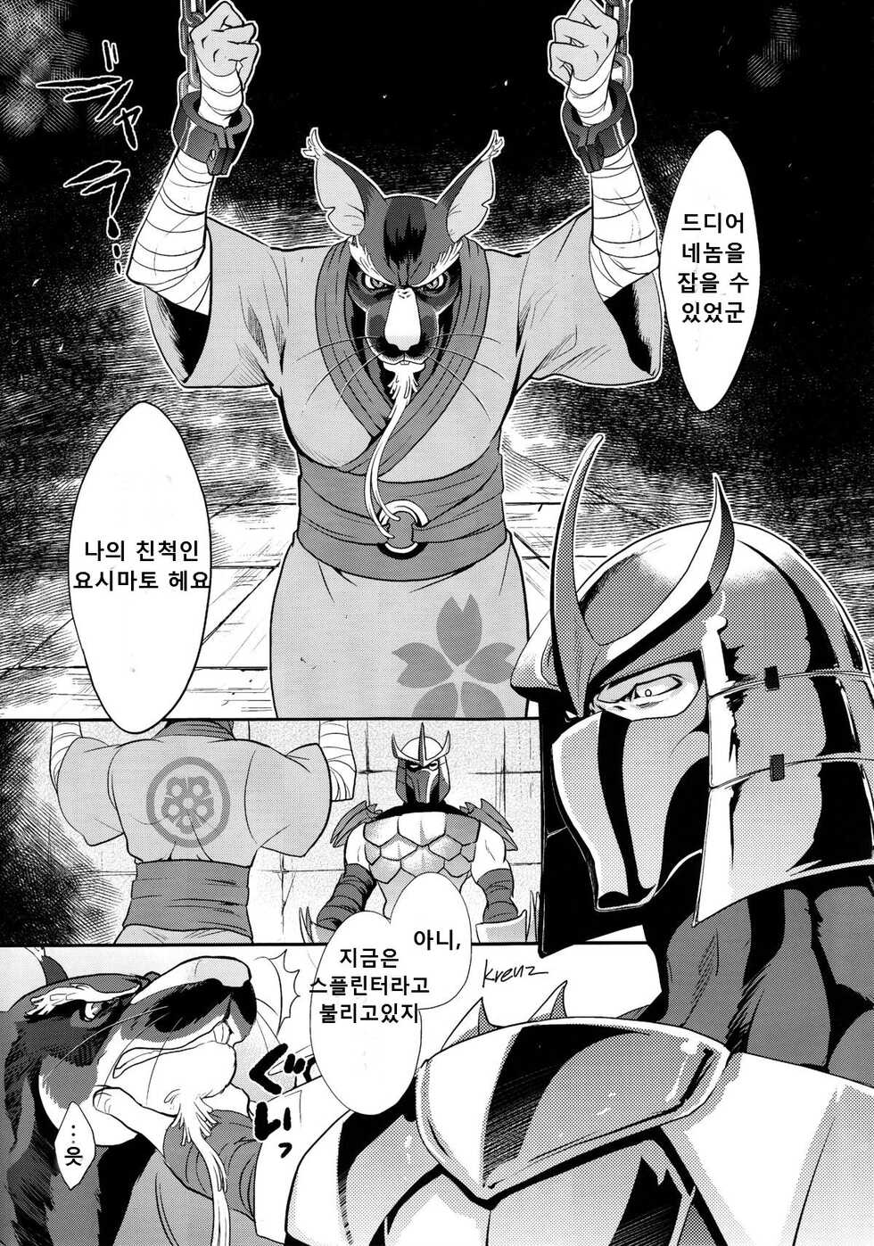 (Fur-st 8) [INK (Kreuz, Kandagawa Gufu)] Splinter Sensei Kiki Ippatsu | 스플린터 선생 위기일발 (Teenage Mutant Ninja Turtles) [Korean] - Page 18