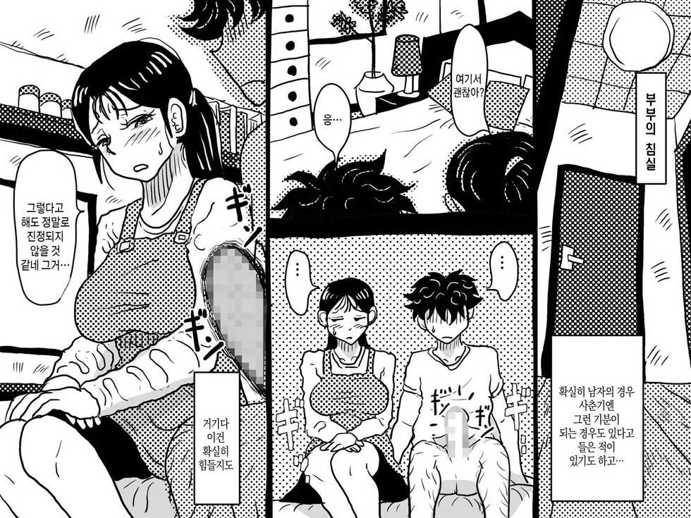 [Junk Center Kameyoko Bldg] Forbidden Love - A Requiem for Mother-to-child Mating | 금단의 사랑 - 모자교미의 레퀴엠[Korean][팀 숙녀] - Page 9