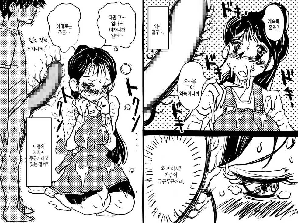 [Junk Center Kameyoko Bldg] Forbidden Love - A Requiem for Mother-to-child Mating | 금단의 사랑 - 모자교미의 레퀴엠[Korean][팀 숙녀] - Page 17