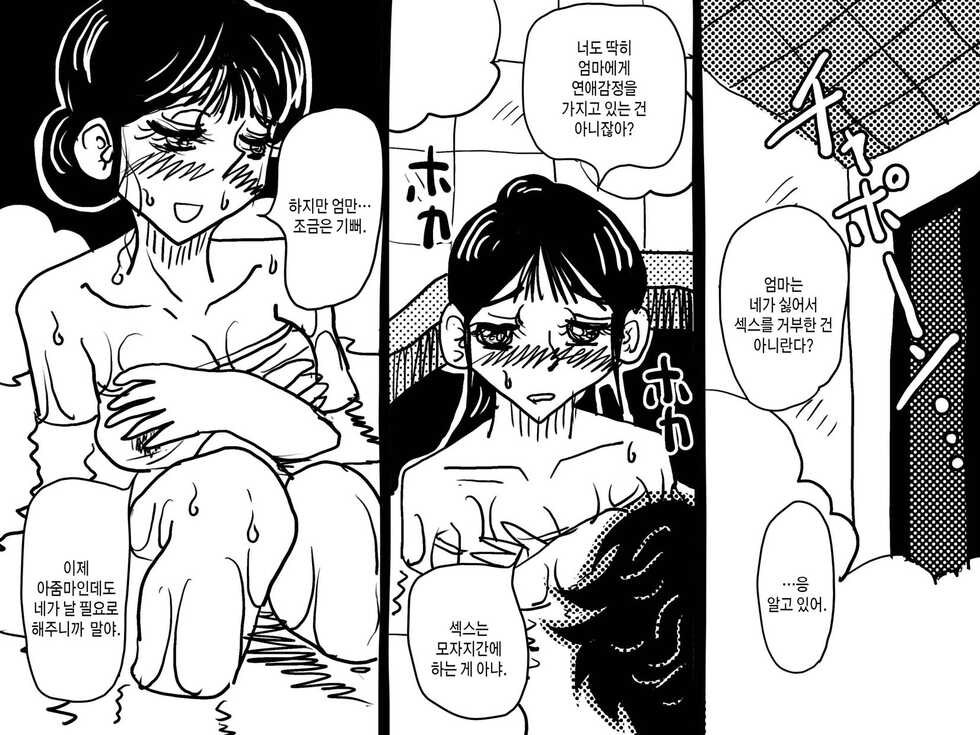 [Junk Center Kameyoko Bldg] Forbidden Love - A Requiem for Mother-to-child Mating | 금단의 사랑 - 모자교미의 레퀴엠[Korean][팀 숙녀] - Page 27