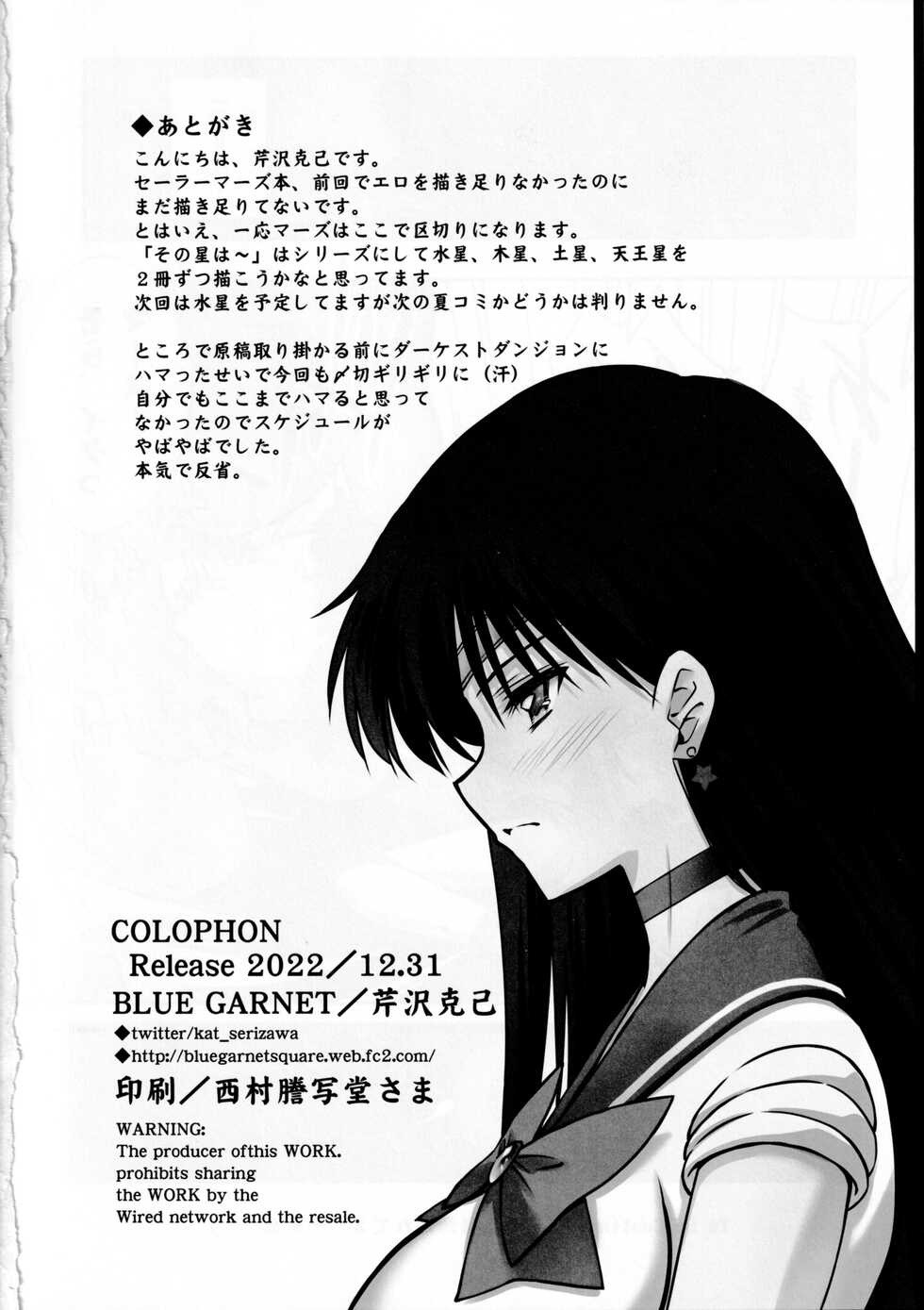 (C101) [BLUE GARNET (Serizawa Katsumi)] Sono Hoshi wa Kegasarete 2 (Bishoujo Senshi Sailor Moon) - Page 17