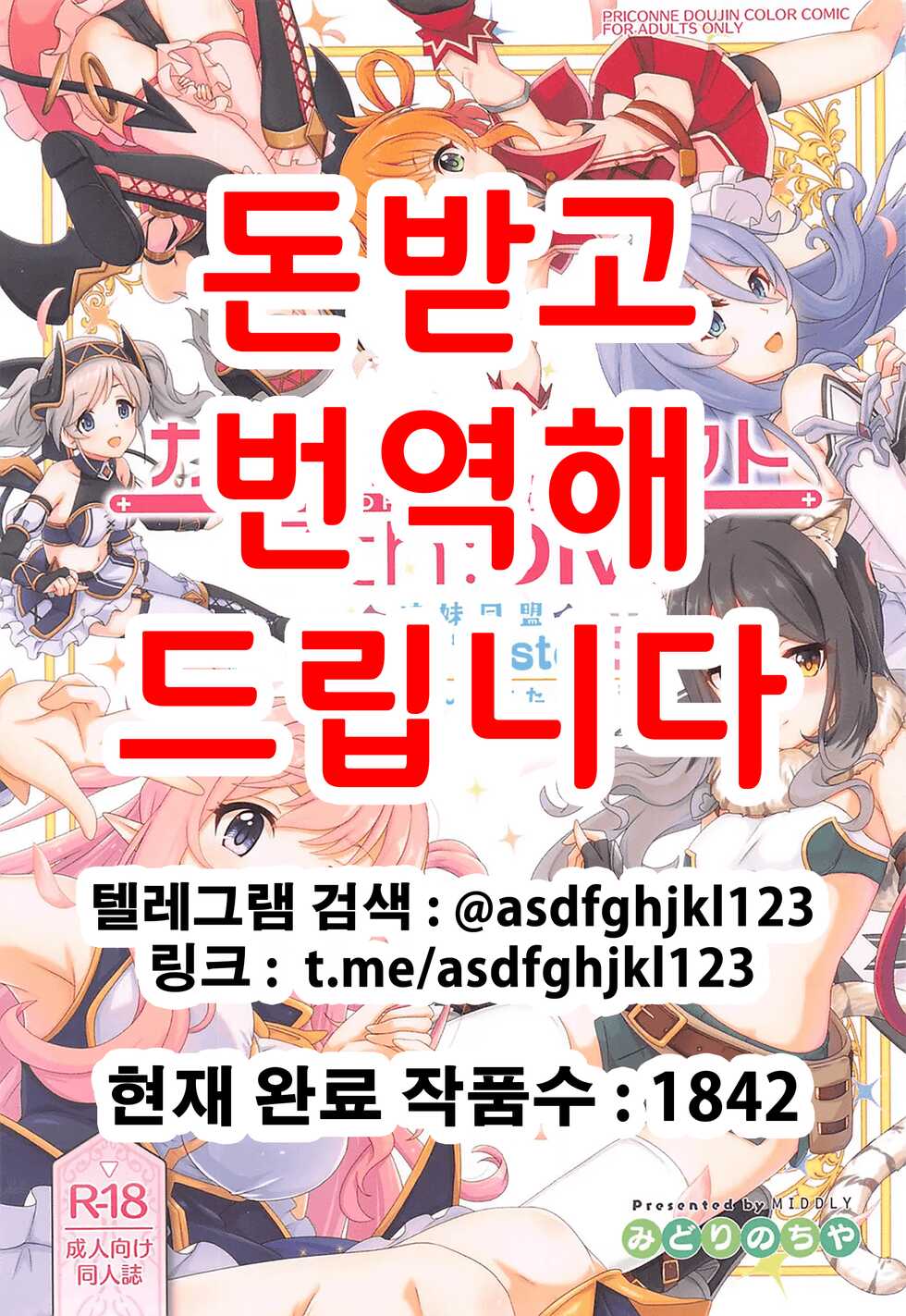 (C101) [MIDDLY (Midorinocha)] Colorful Connect 7th:Dive - Union Sisters | 컬러풀 커넥트 7th:Dive (Princess Connect! Re:Dive) [Korean] - Page 1